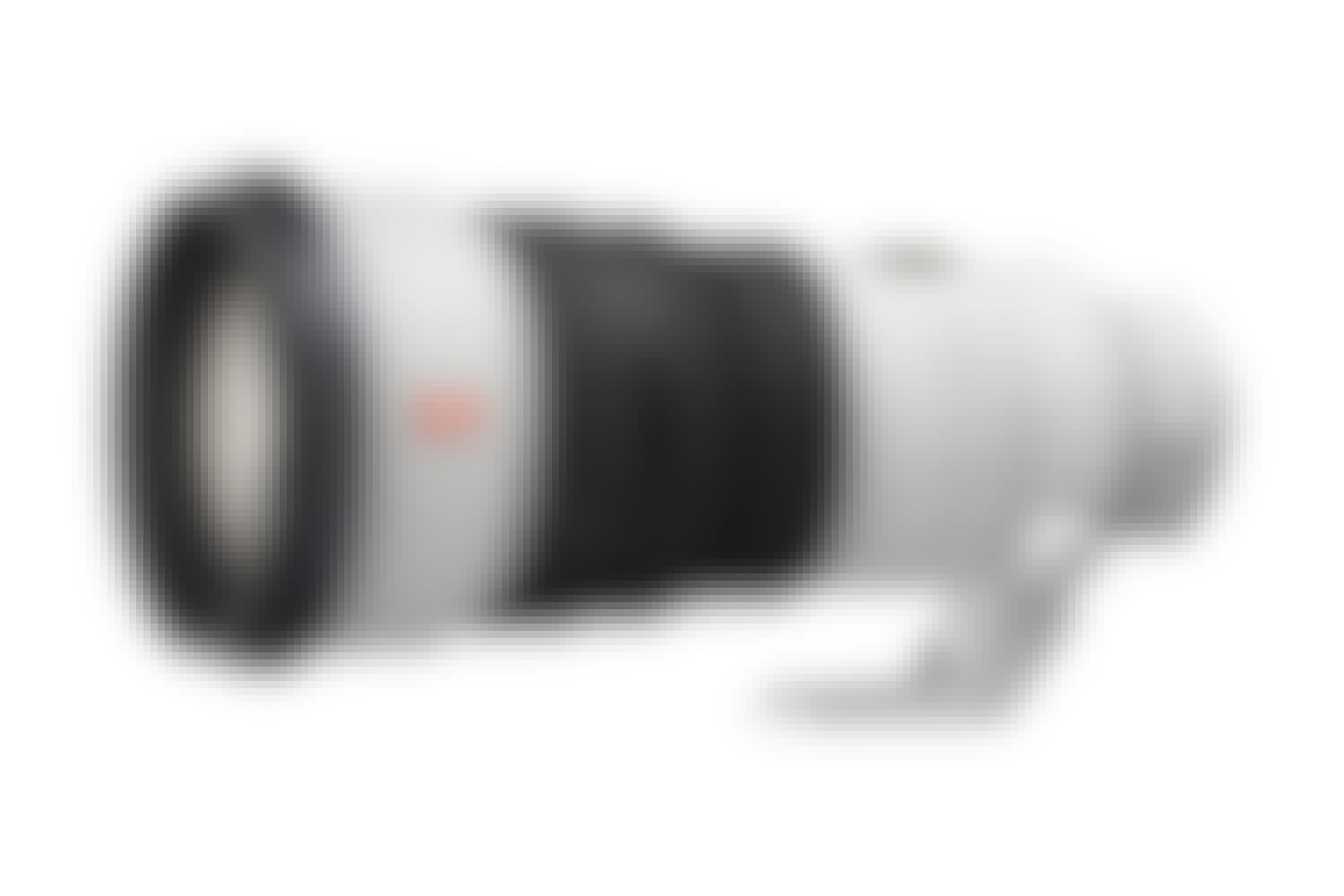 Sony FE 300mm F2.8 GM OSS