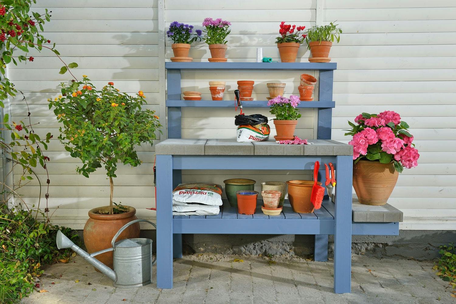 Plantebord