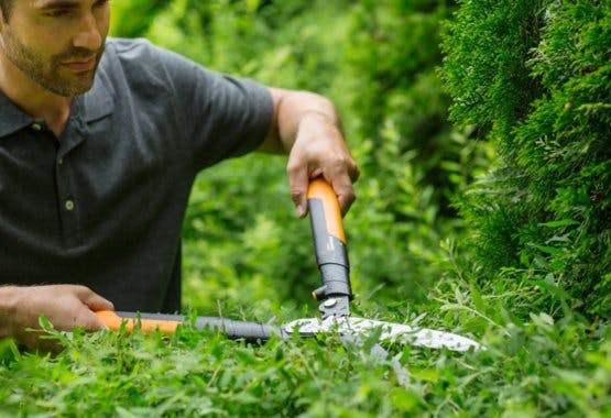 Annonce | Når hækken skal klippes, handler det om det rigtige redskab, timing og teknik. Her får du en nem guide til et flot resultat.