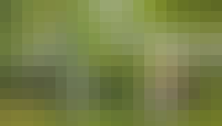 Lag ditt eget drivhus Lag ditt eget drivhus