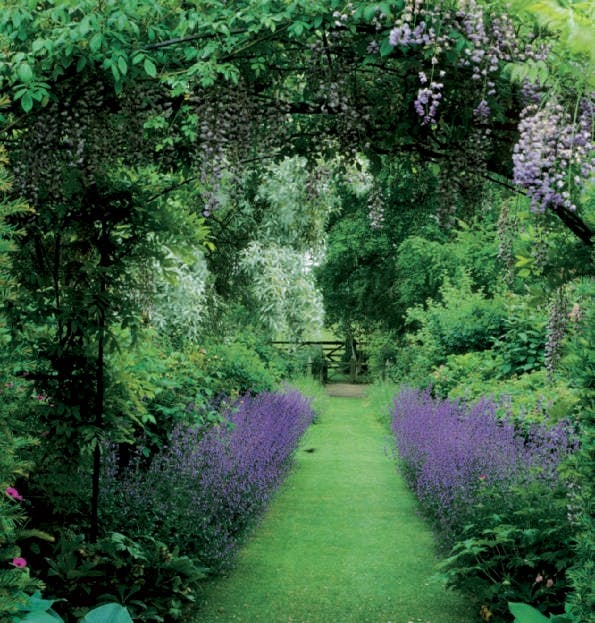 Lavendel er en fin kantplante – så frodig og fargerik at den trekker en tydelig grense mellom bed og plen.