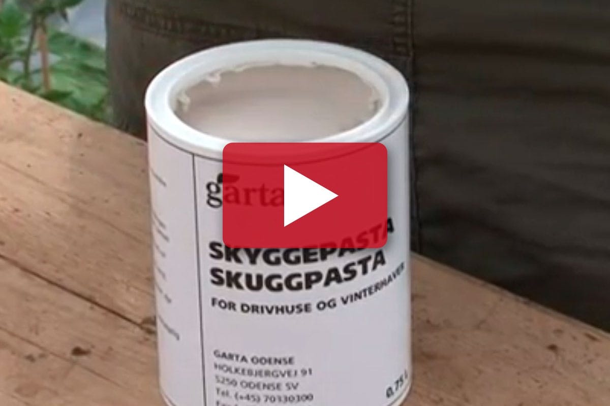 Kapilærkasser