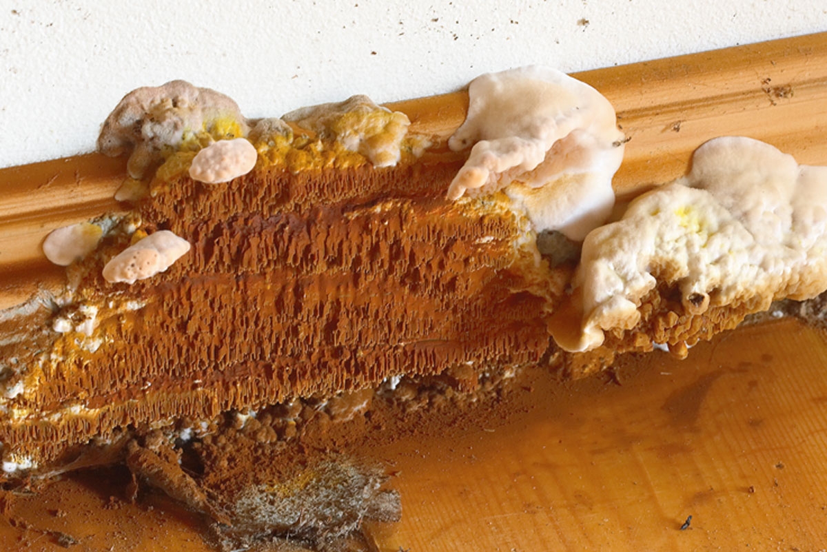 Godt indeklima luftfugtighed