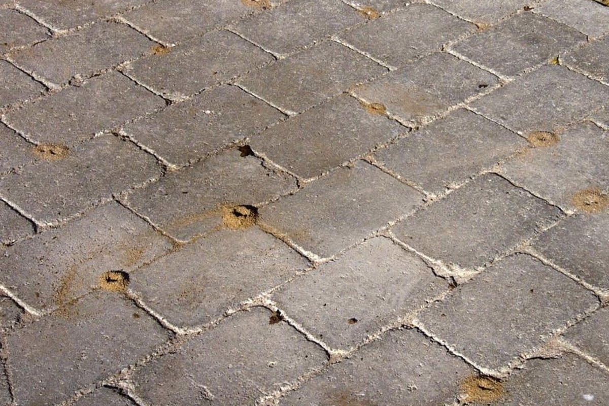 De små haugene med sand i fugene, er tydelige tegn på at maurene har begynt gravearbeidet på undersiden.