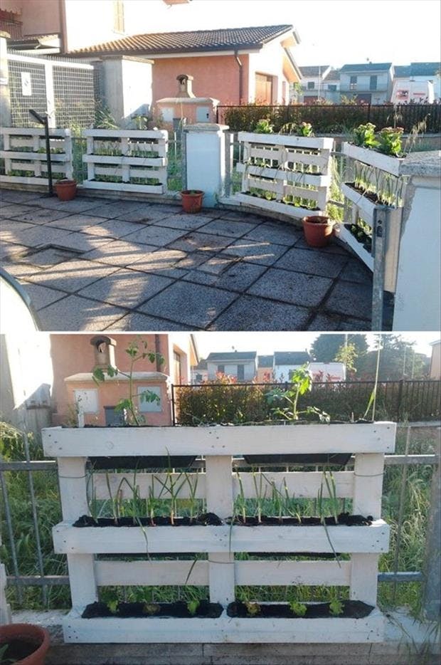 Paller plantekasser bed planter have