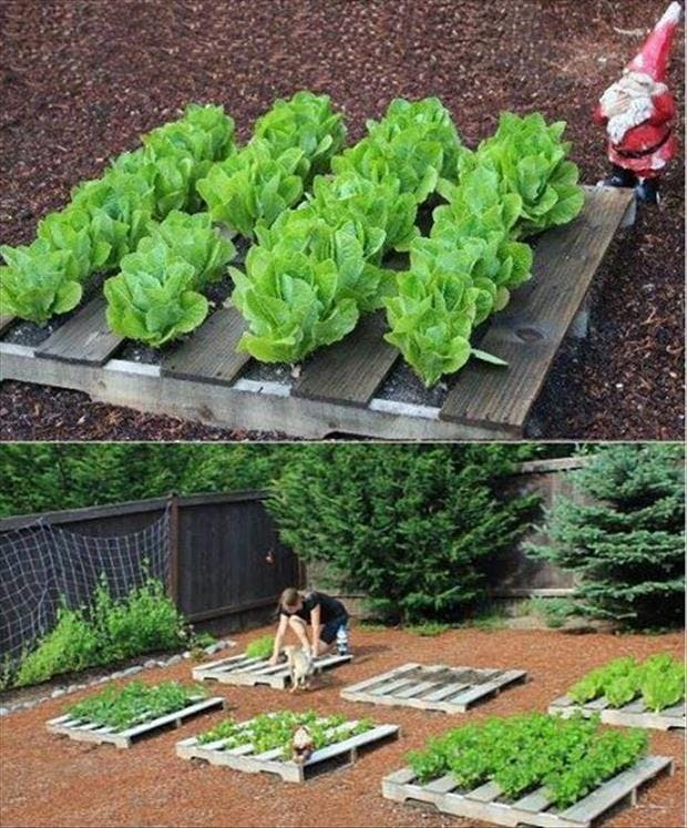 Paller plantekasser bed planter have