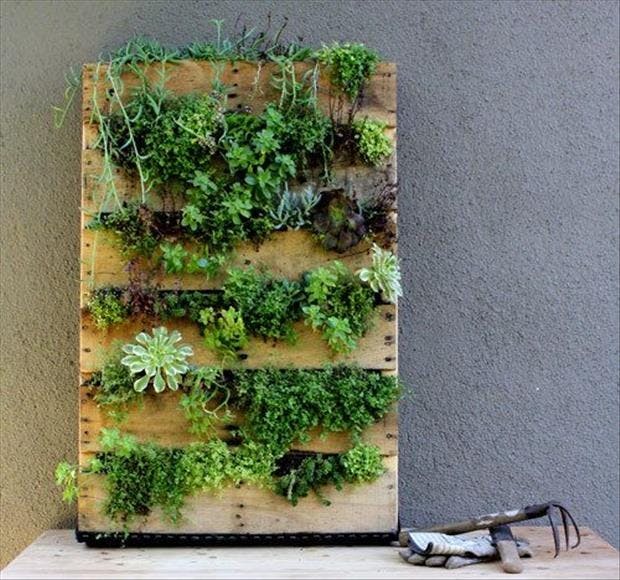 Paller plantekasser bed planter have
