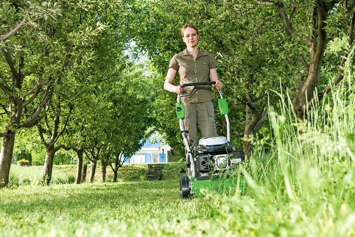 Om gräset har blivit långt, medan du till exempel har varit på semester, är det bättre att klippa det i flera omgångar. En bra tumregel är att inte korta av det mer än en tredjedel när du klipper.