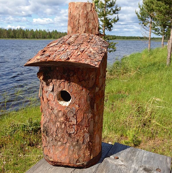 "Et fuglehus, der ser ud som et træ – det burde fuglene da kunne lide," skriver Jesper, som har lavet dette fuglehus.