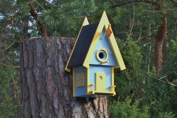Musvitterne er vilde med huset her. Nogle gange er der to kuld unger om året, fortæller Kaj, der har bygget huset.
