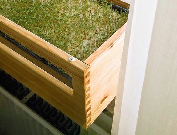 minidrivhus4 Ett miniväxthus vid fönstret sätter fart på plantorna, så att de kan planteras ut i köksträdgården när det blir plusgrader.