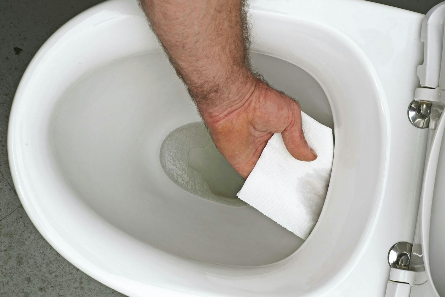 Toalett Slik Skifter Du Det toalett-slik-skifter-du-det