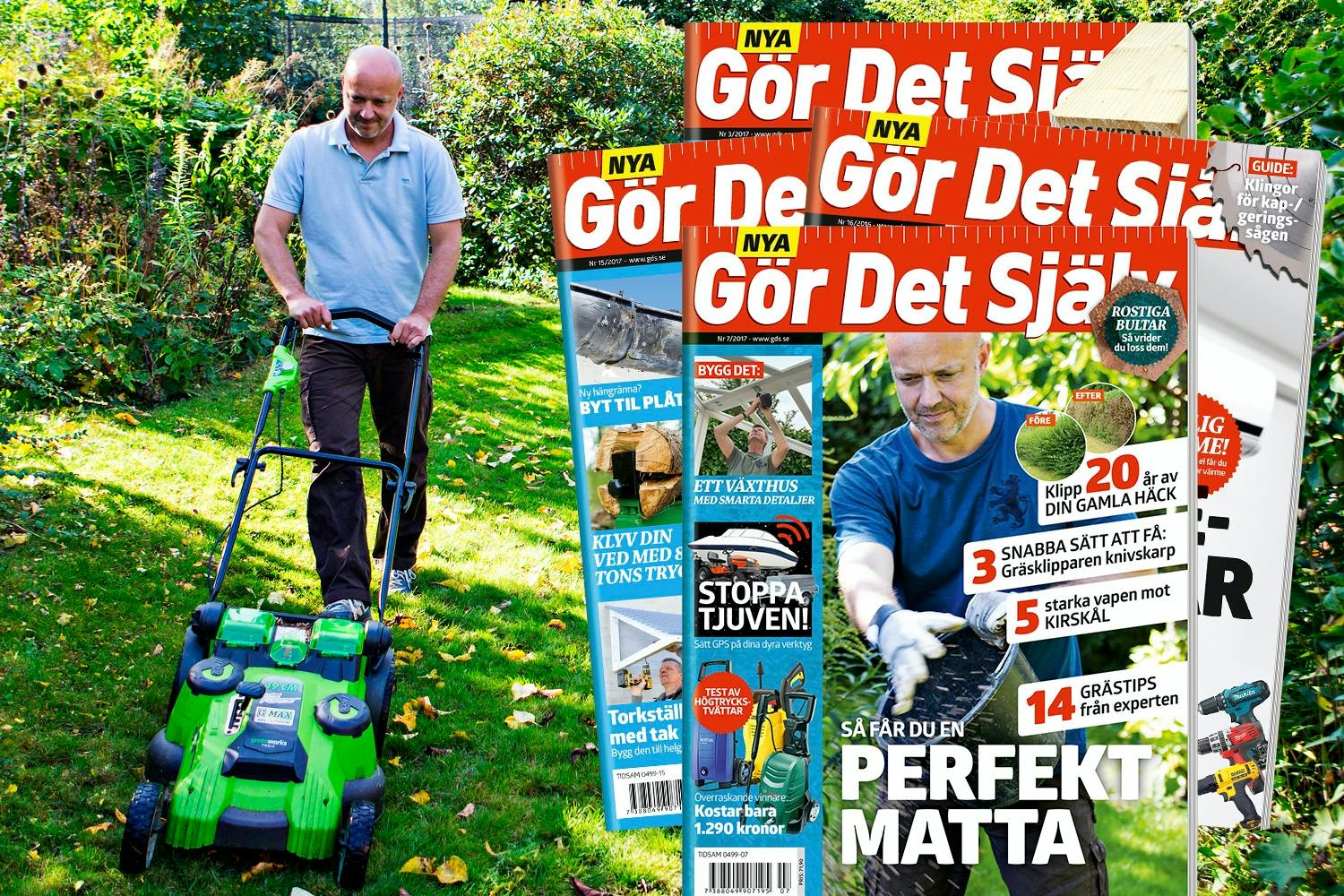 GDS_Bladvifte_01_SV