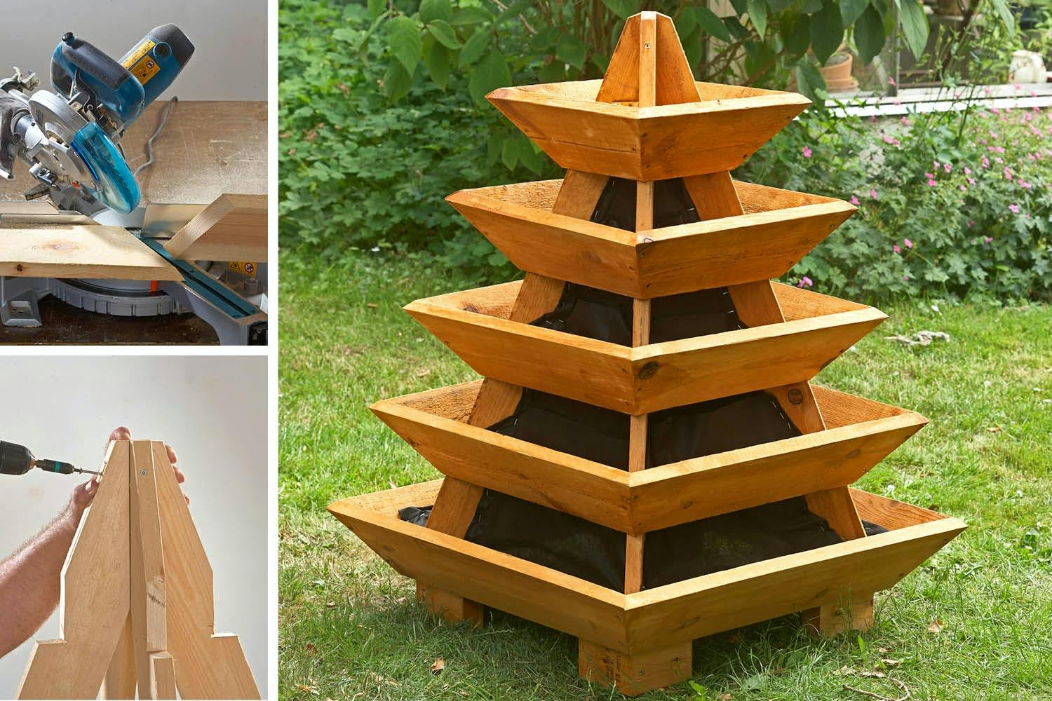 Plantepyramide: Sådan bygger du den Plantepyramide: Sådan bygger du den