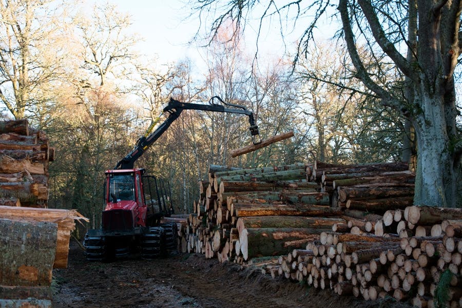 Superwood: Superwood er det miljøvennlige alternativet Superwood: Superwood er det miljøvennlige alternativet