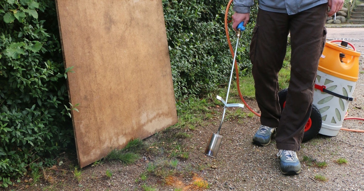 Brenne Ugress () Brenne Ugress