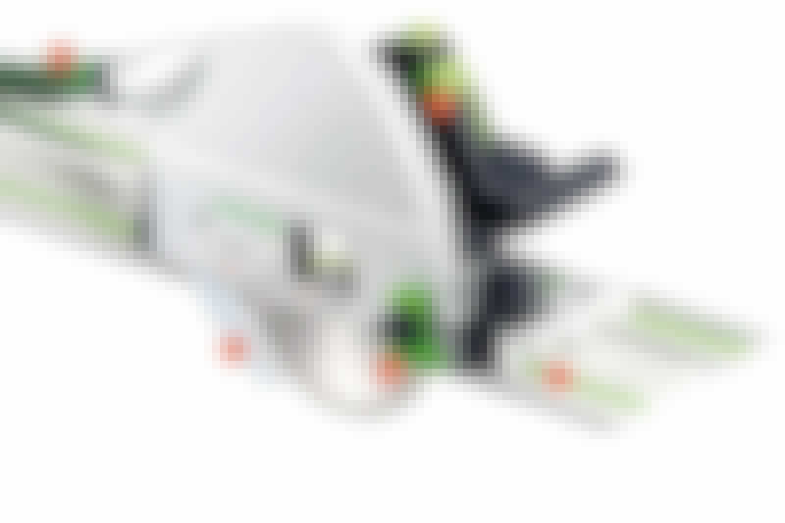 Festool sänksåg Festool sänksåg