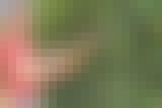 Slipe gressklipper kniv Slipe gressklipper kniv