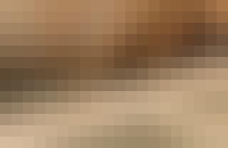 106194_SE_A_17_2018_6_2.jpg