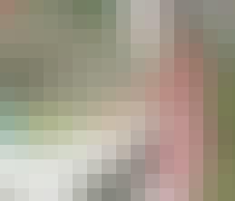 68654_NO_A_14_2011_1_2.jpg