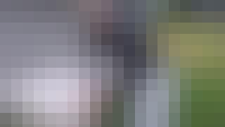 301_DK1