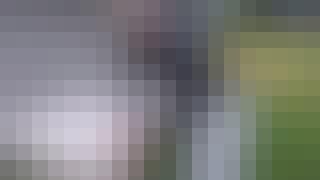 301_NO1