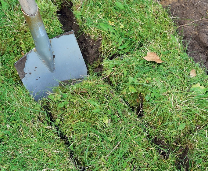 Skab rum i haven med portal og espalier Gør Det Selv