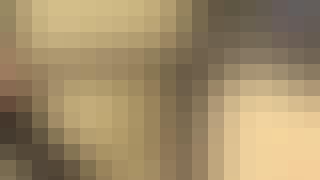 663_SE