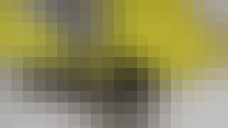 725_FI