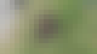 515_DK