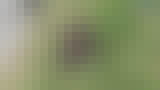 515_NO