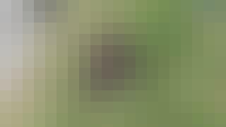 515_SE