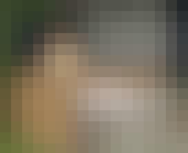 68669_DK_A_14_2011_6_4a.jpg