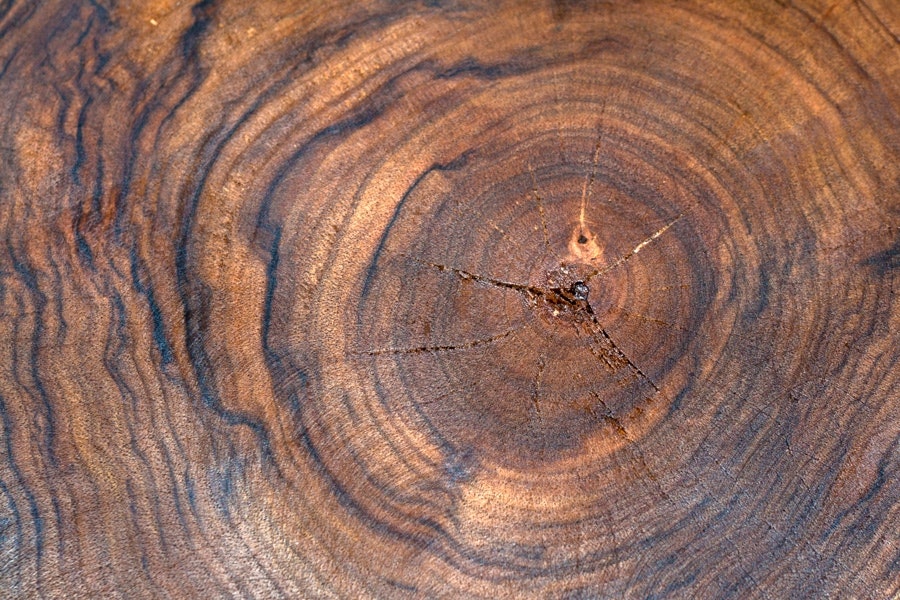 5 flotte træsorter til hobbysnedkeren | goerdetselv.dk