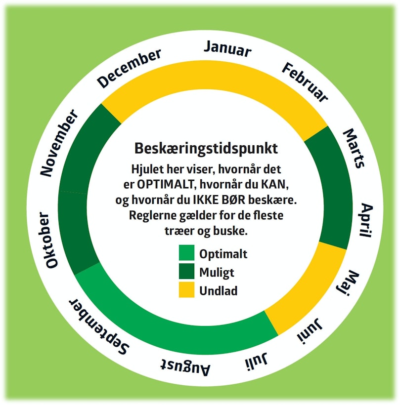 Det rigtige tidspunkt