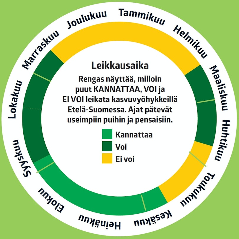 Oikea leikkausaika
