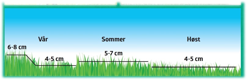 Slik skal du klippe gressplenen