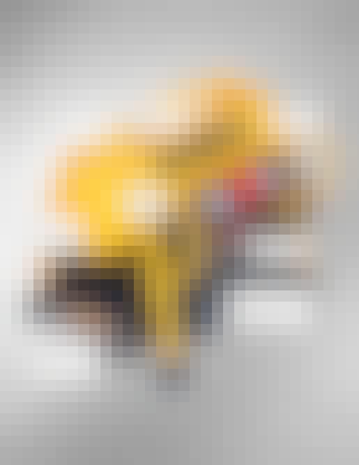 Testivoittaja DEWALT DPC6MRC-kompressori Testivoittaja DEWALT DPC6MRC-kompressori