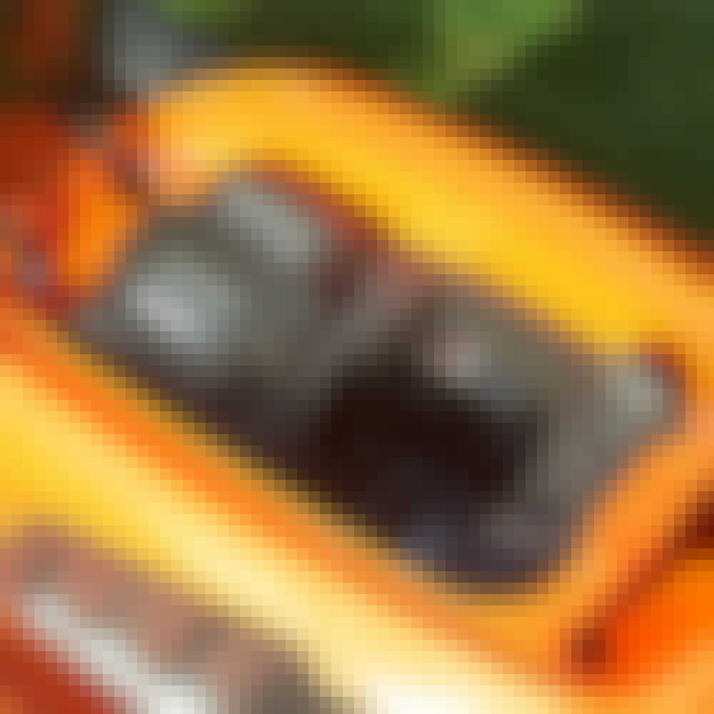 Testvinder_Husqvarna_LC-347IVX_335806_1 Testvinder_Husqvarna_LC-347IVX_335806_1