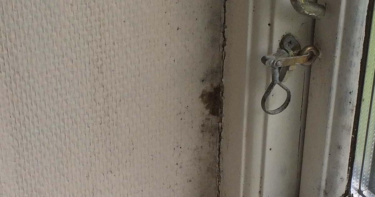 Bli Kvitt Muggsopp () Bli Kvitt Muggsopp