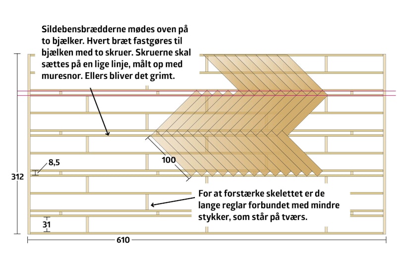 Et særligt skelet