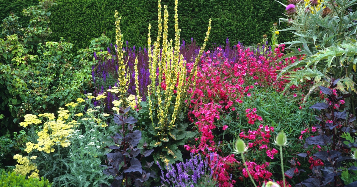 Perennrabatt planering och inspiration | gds.se
