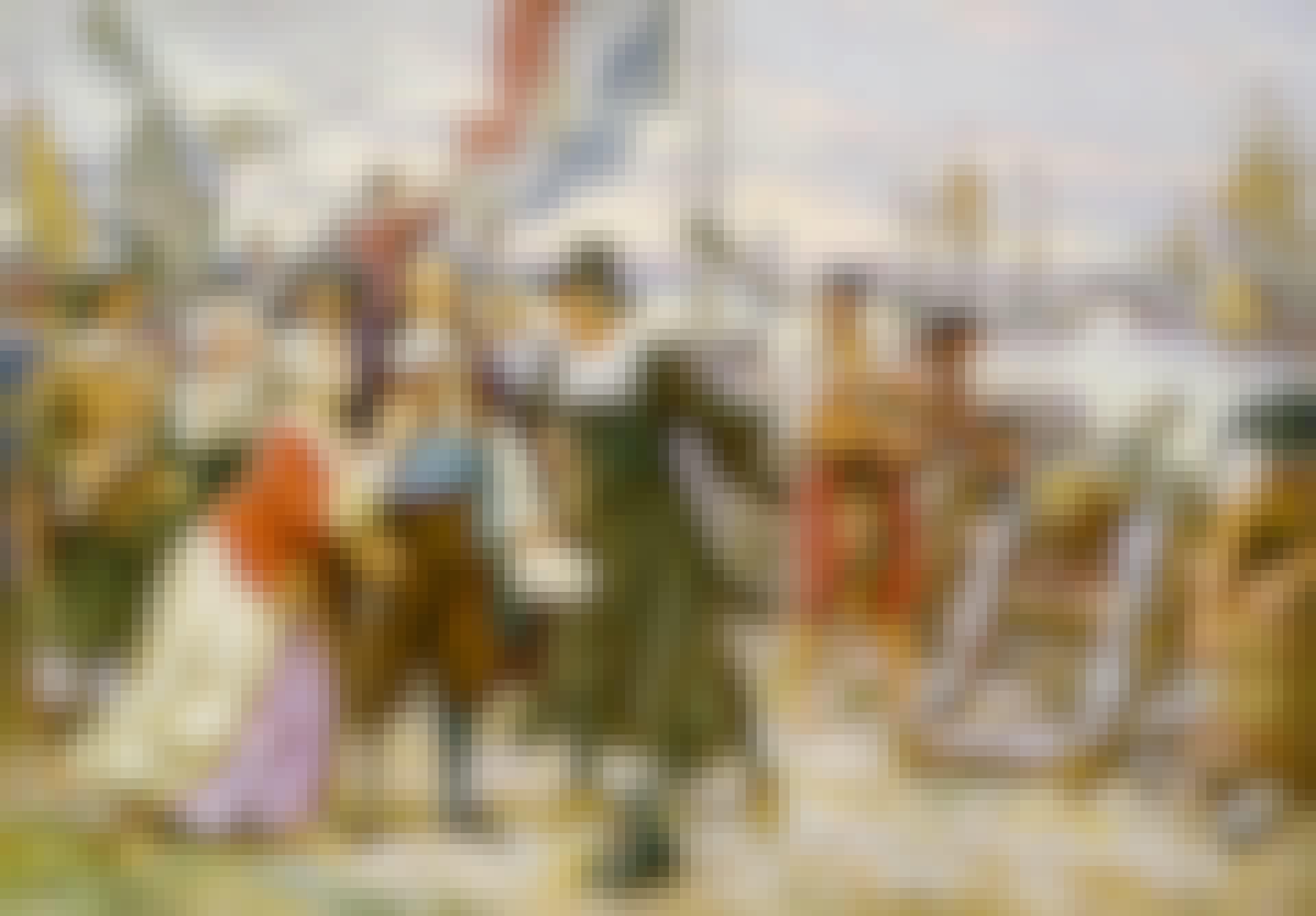 new amsterdam new amsterdam indianere