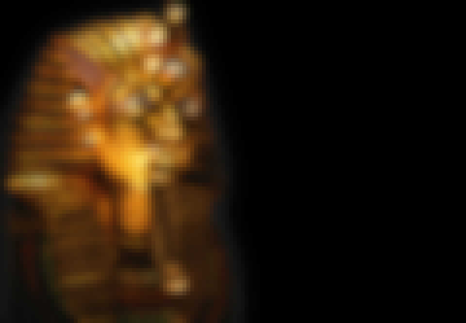 Tutankhamon lead - Sådan døde Tutankhamon