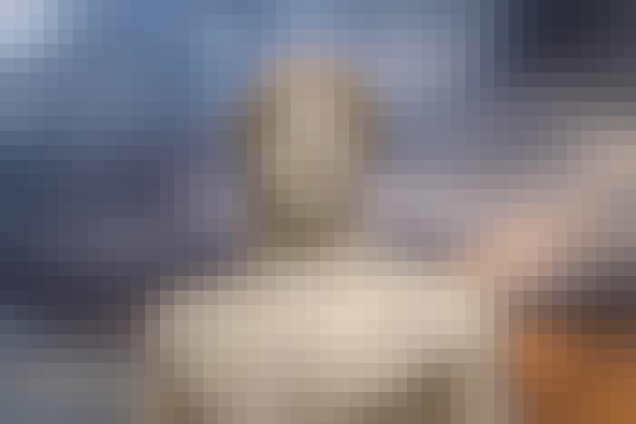 Shutterstock Shutterstock
