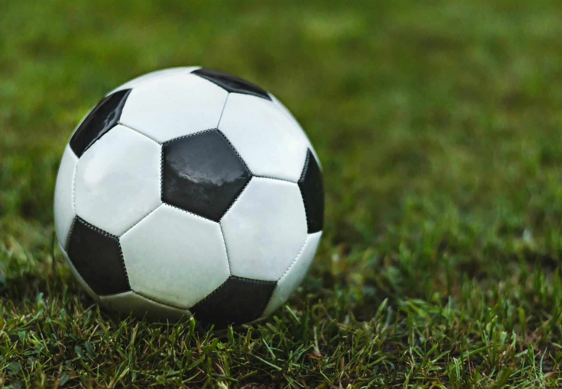 Fodbold græs bold Fodbold græs bold