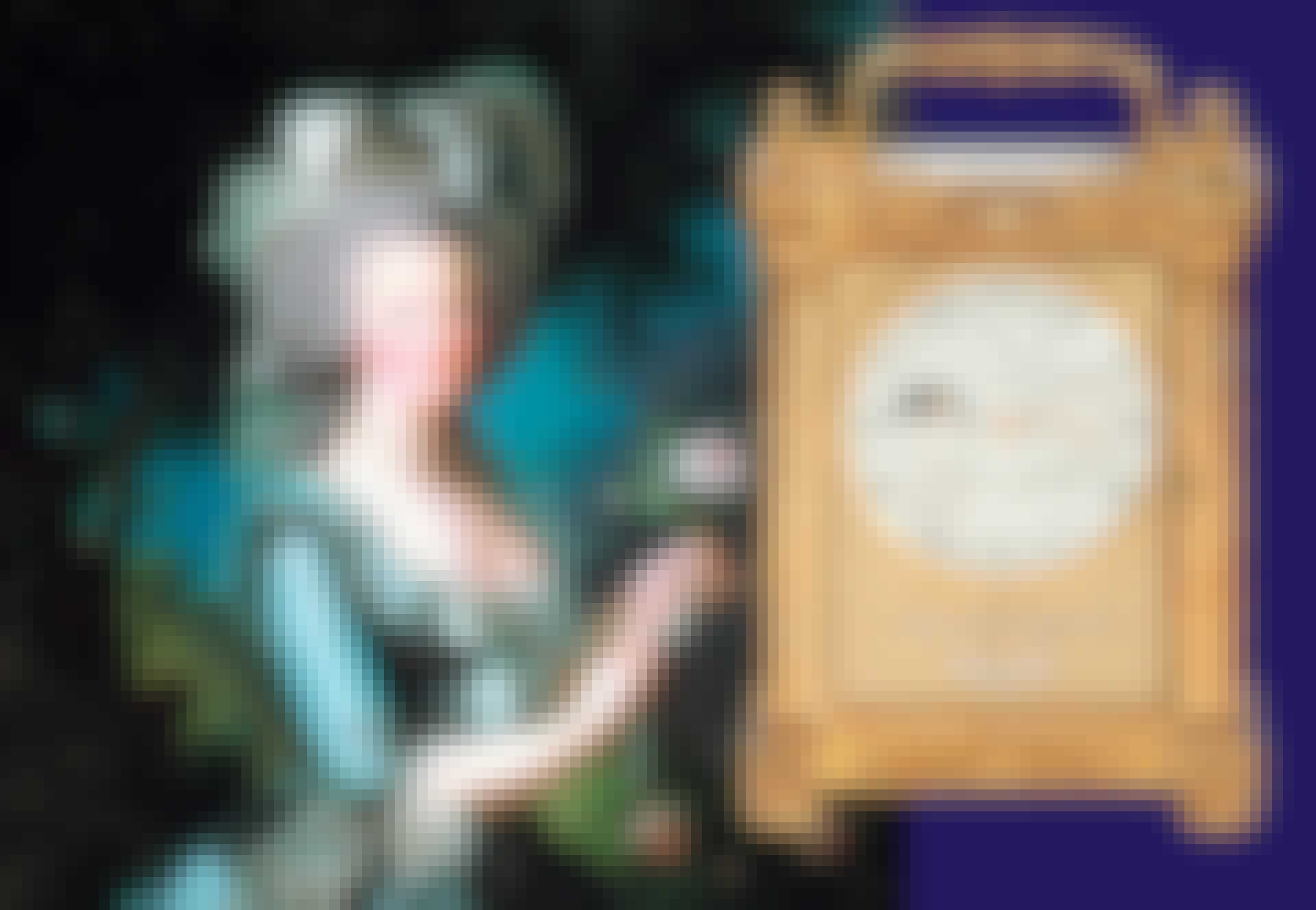 marie-antoinette