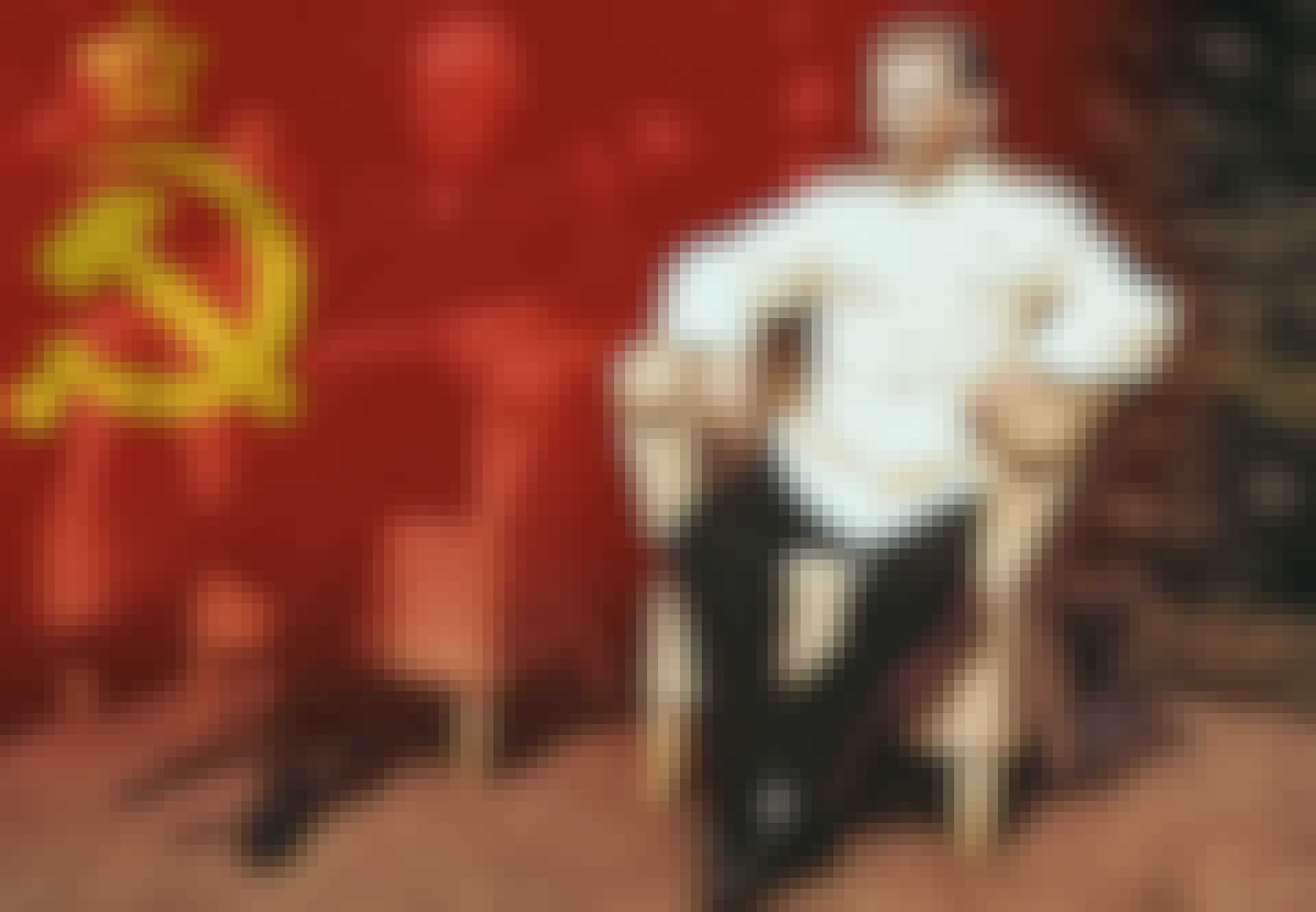 topbillede-a4ceejlj7_fzwr6ktesyga