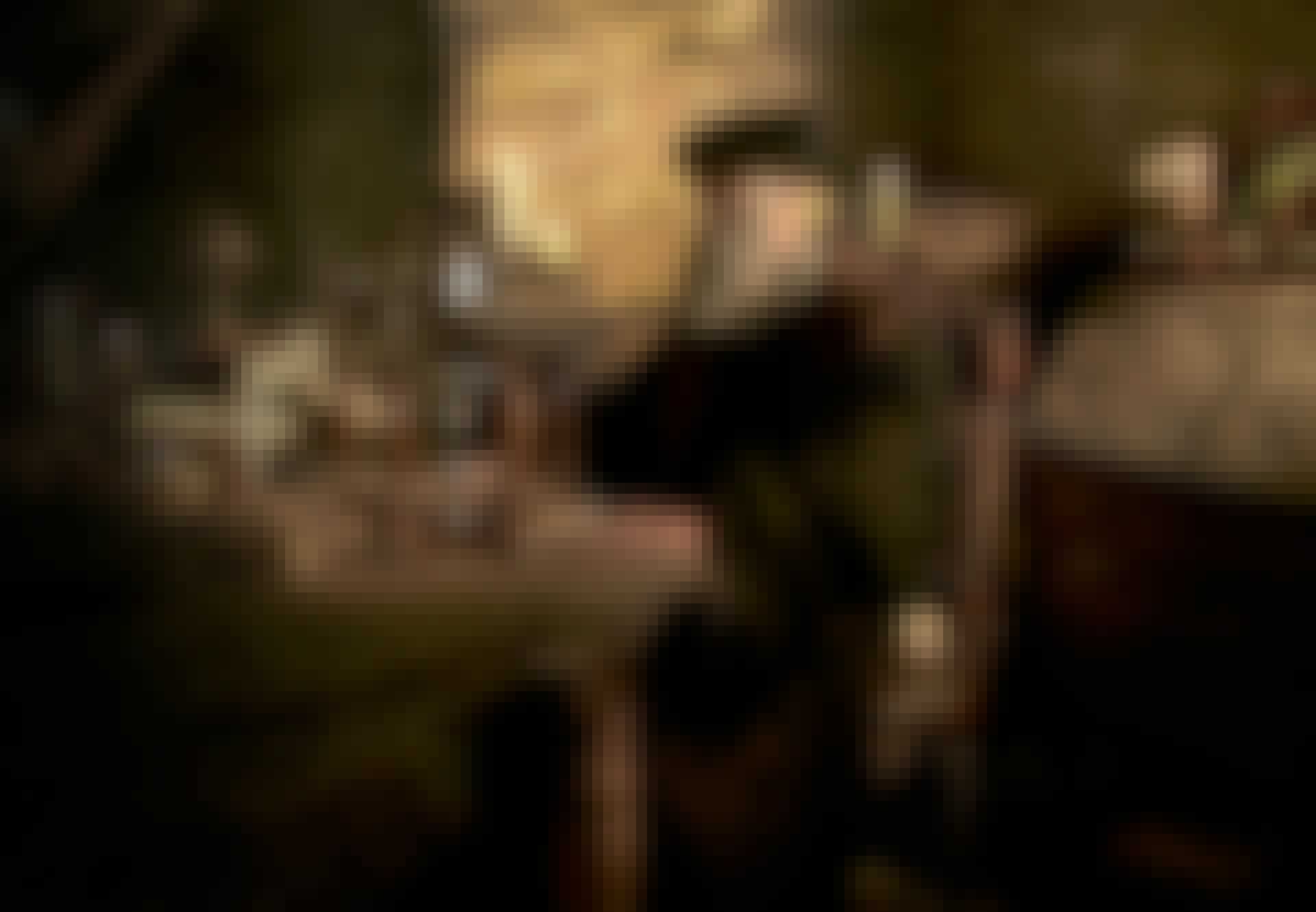topbillede-v6hn7v33thvypqc0l1dwma