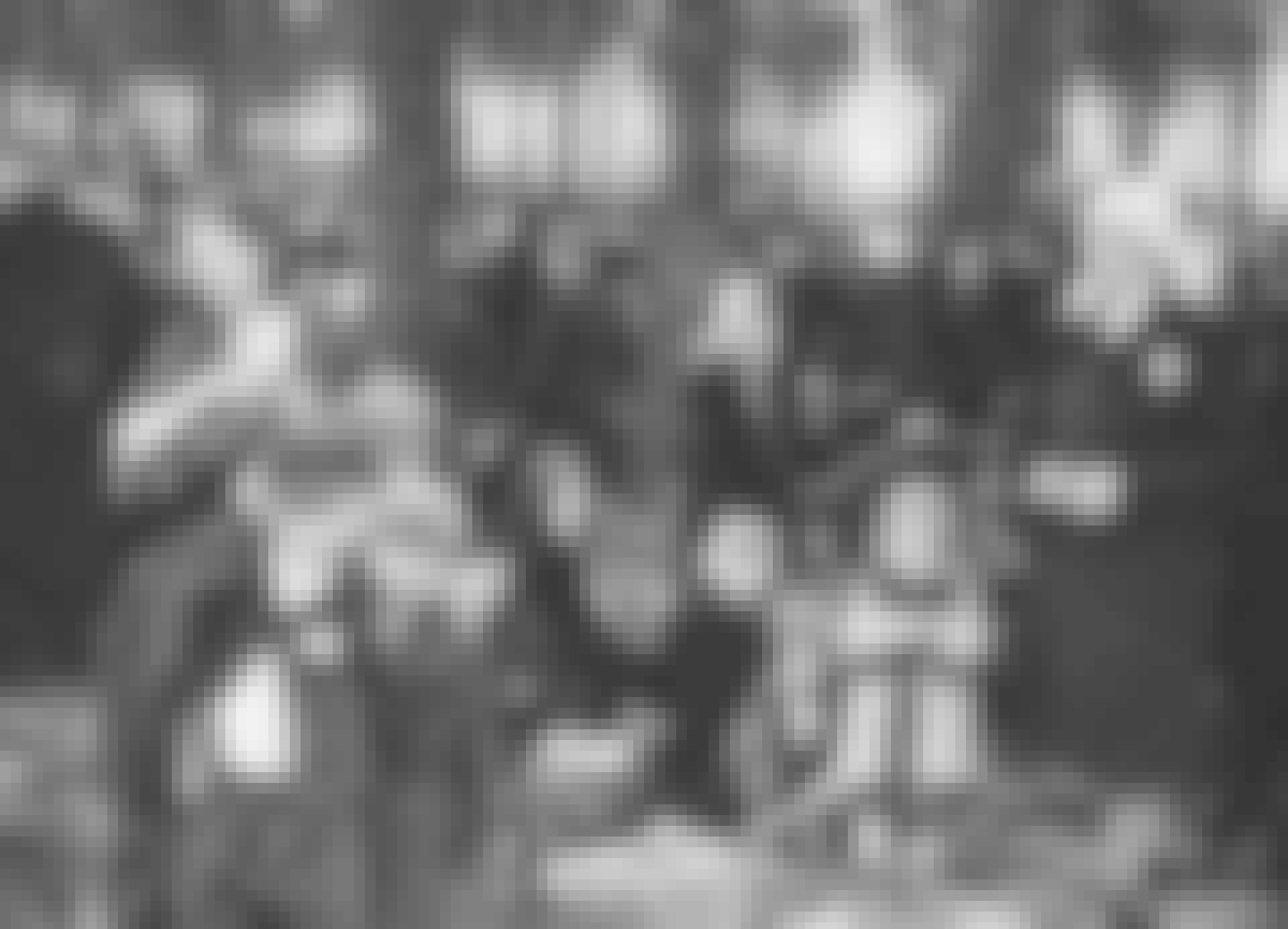 Ungerska judar i Auschwitz Ungerska judar i Auschwitz